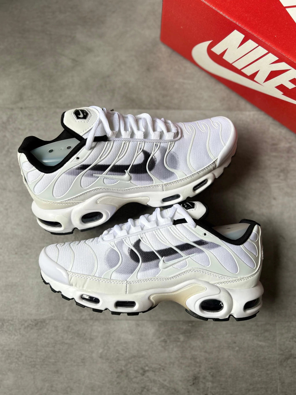 Air Max TN Bicolor